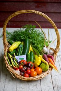 11825643_1659923160899072_7670803235709257871_n